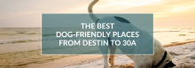 The Best Dog-Friendly Places from Destin to 30A